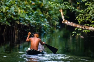 Descubre en qué fechas viajar a Tarapoto